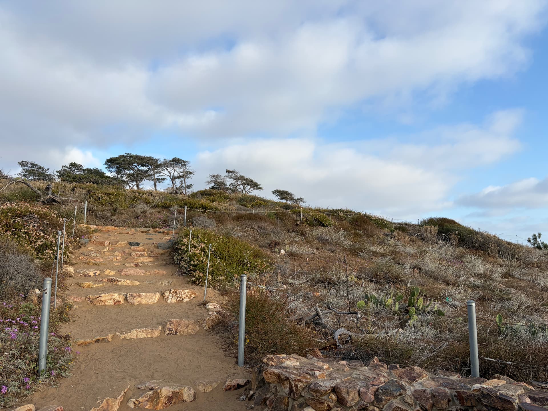 Stone trail climbing a coastal ridge